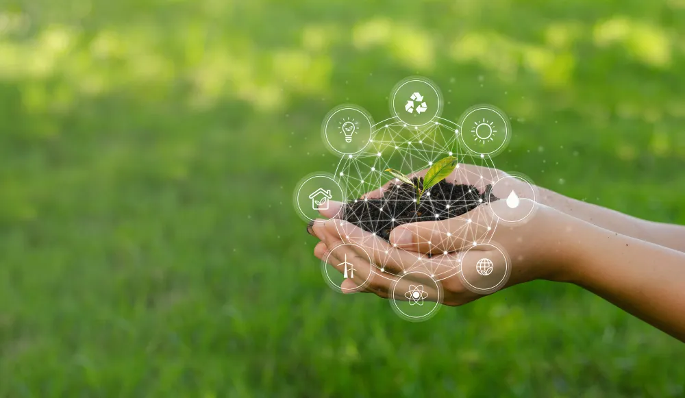 ESG Consulting Services - ESG including environmental, social, and governance consulting, CO2 calculator, and sustainability program development